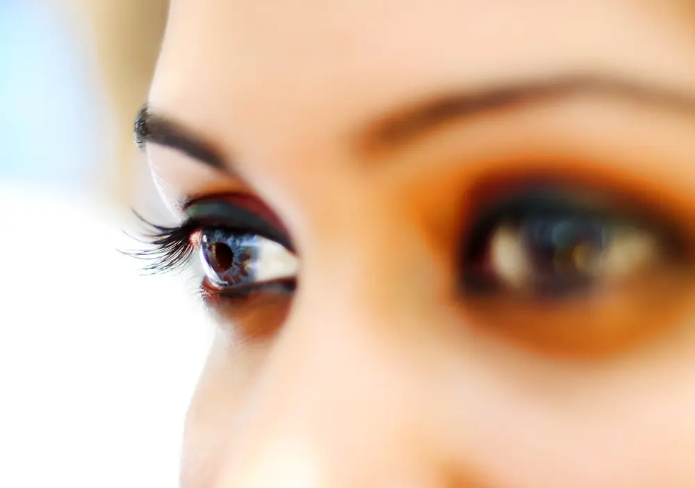 Sourcils et cils